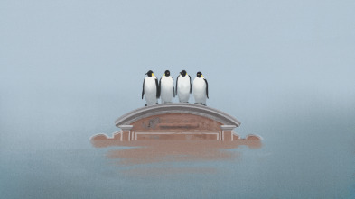Imagen de Isla - 5