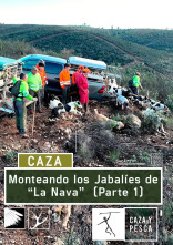 Monteando los jabalies de La Nava. 1º Parte