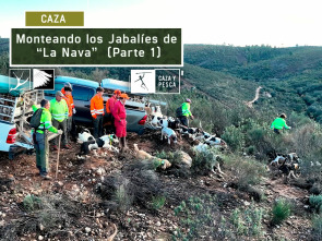 Monteando los jabalies de La Nava. 1º Parte