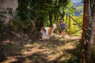 Imagen de Lassie. Una nueva aventura - 12