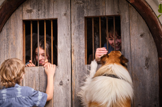 Lassie. Una nueva aventura