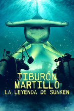 Imagen de Tiburón martillo: la leyenda de Sunken - 1