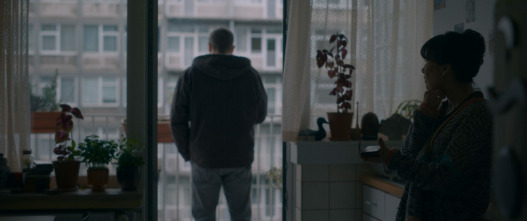 Imagen de Víctima imperfecta - 6