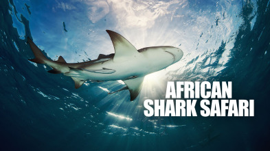 Imagen de Safari de tiburones - 2