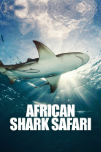Imagen de Safari de tiburones - 1