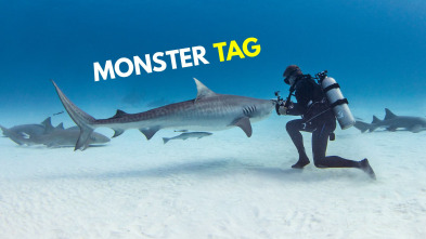 Imagen de Tiburones en peligro - 2