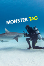 Imagen de Tiburones en peligro - 1