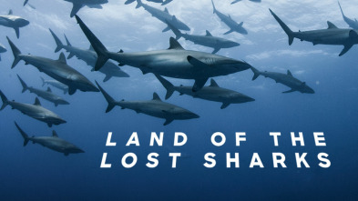 Imagen de El territorio de los tiburones perdidos - 2