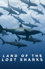 Imagen de El territorio de los tiburones perdidos - 1