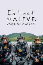 Imagen de Tiburones en Alaska - 1