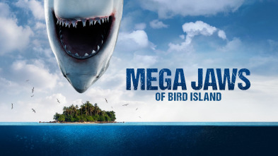 Imagen de Tiburón hembra en Bird Island - 2