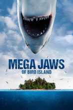 Imagen de Tiburón hembra en Bird Island - 1