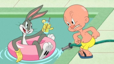 Imagen de Looney Tunes... (T1): Dolor sobre hielo / Visión de túnel / Compañero de piscina - 2