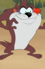 Imagen de Looney Tunes... (T1): ¡La llaventura! / Gag del agujero: martillo que te pillo / Sed endiablada - 1