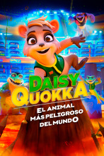 Imagen de Daisy Quokka, el animal más peligroso del mundo - 1