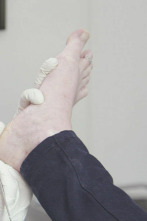 Imagen de Los pies me están...: El caballo sana - 1