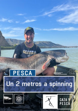 Imagen de Un 2 metros a spinning - 1