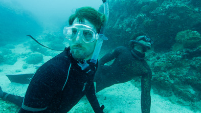 Imagen de Shark Academy (T1): Inmersión a pulmón con tiburón - 2