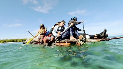 Imagen de Shark Academy (T1): Náufragos - 2