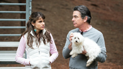 Imagen de Togetherness (T1): Ep.5 Patea la lata - 2