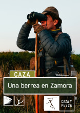 Una berrea en Zamora