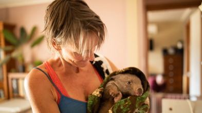 Imagen de Dodo Heroes: Una casa llena de wombats - 2