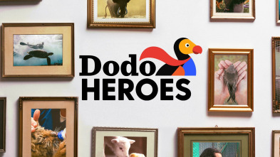 Dodo Heroes, Season 2 