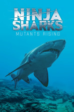 Imagen de Tiburones ninja 2 - 1