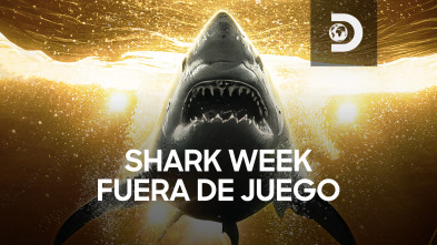 Shark Week: detrás de cámaras