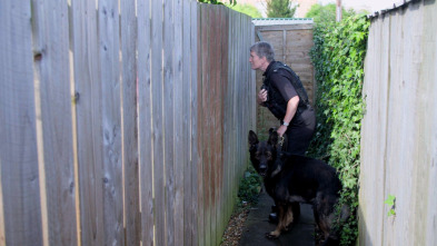 Imagen de Perros detectives (T1): Grandes blandengues - 2