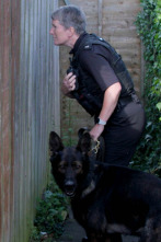 Imagen de Perros detectives (T1): Grandes blandengues - 1