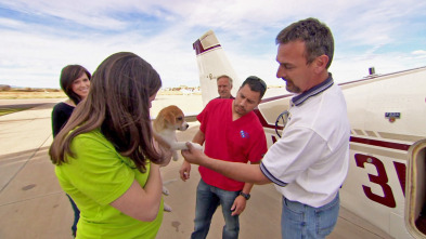 Veterinario en... (T2): Salvado por el cielo