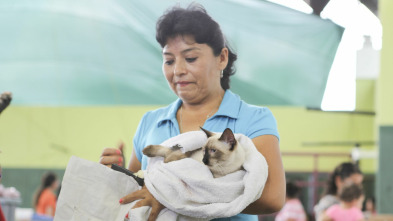 Veterinario en... (T2): Misión más allá