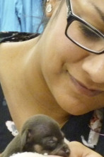 Imagen de Veterinario en... (T2): Un negocio arriesgado - 1
