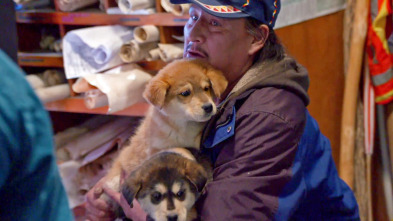Imagen de Veterinario en... (T2): Viaje sioux - 2