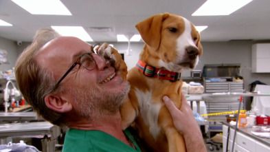 Imagen de Veterinario en apuros (T6): A tope - 2