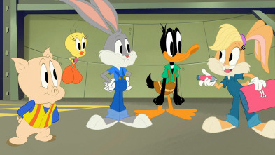 Imagen de Bugs Bunny... (T1): Hora de limpiar - 2