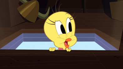 Imagen de Bugs Bunny... (T1): El escondite - 2