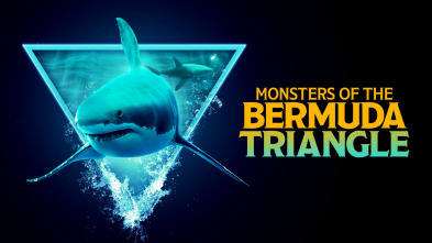 Imagen de El tiburón del Triángulo de las Bermudas - 2