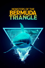 Imagen de El tiburón del Triángulo de las Bermudas - 1