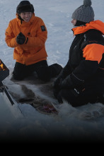 Imagen de Chef sin desperdicio (T2): Finlandia - 1