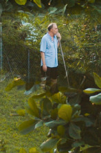 Imagen de Painting with John (T2): Ep.4 Tienes manos de bombilla - 1