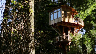 Imagen de Mi casa en un árbol (T2): Refugio en las secoyas - 2