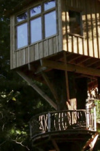 Imagen de Mi casa en un árbol (T2): Refugio en las secoyas - 1