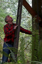 Mi casa en un árbol: El cuartel general de la aventura