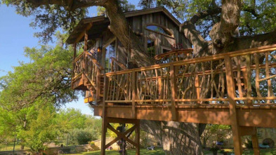Imagen de Mi casa en un árbol: Casa en un árbol a la francesa - 2