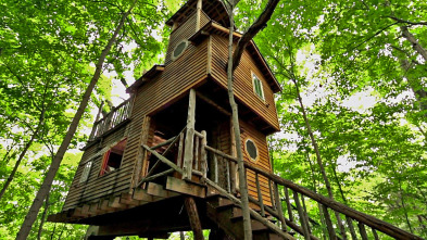 Imagen de Mi casa en un árbol (T5): Las casas en árboles Parte 5 - 2