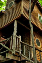 Imagen de Mi casa en un árbol (T5): Las casas en árboles Parte 5 - 1