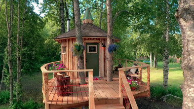 Imagen de Mi casa en un árbol (T7): Sauna en los árboles en Alaska - 2