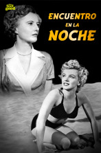 Imagen de Encuentro en la noche - 1
